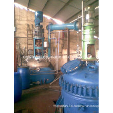 Fj High Efficent Factory Price Pharmaceutical Hydrothermal Synthesis Agitated Hydrothermal Reactor